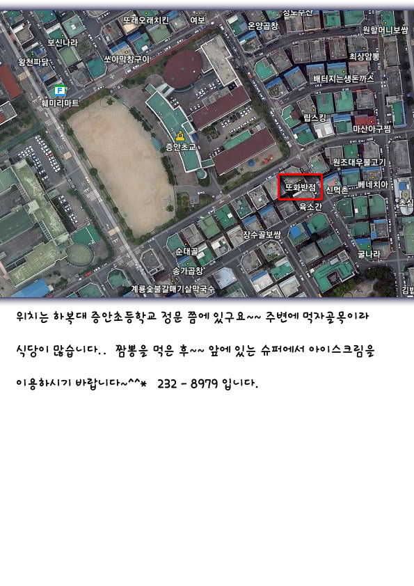 또화반점 이미지
