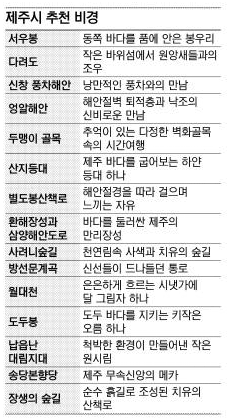 미스제주서귀포중문본점 이미지