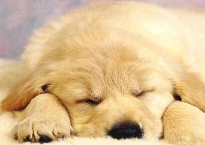 인간에게 가장 강하게 작용하는 욕구는 무엇일까요? | 인스티즈