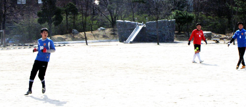 서울대청초등학교 이미지