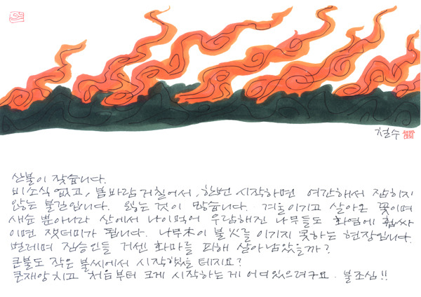 사는동안꽃처럼 이미지