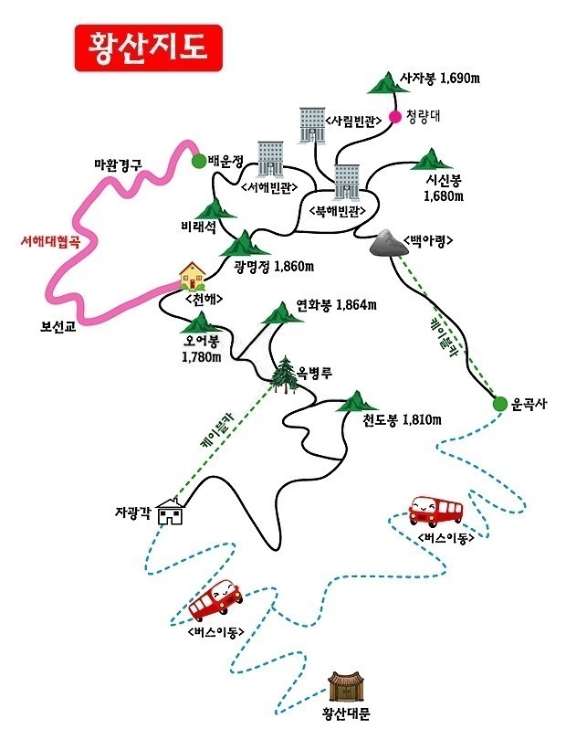 천홍국제관광 이미지