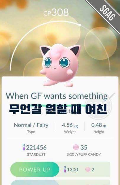천조국의 흔한 포켓몬고 작명.jpg | 인스티즈
