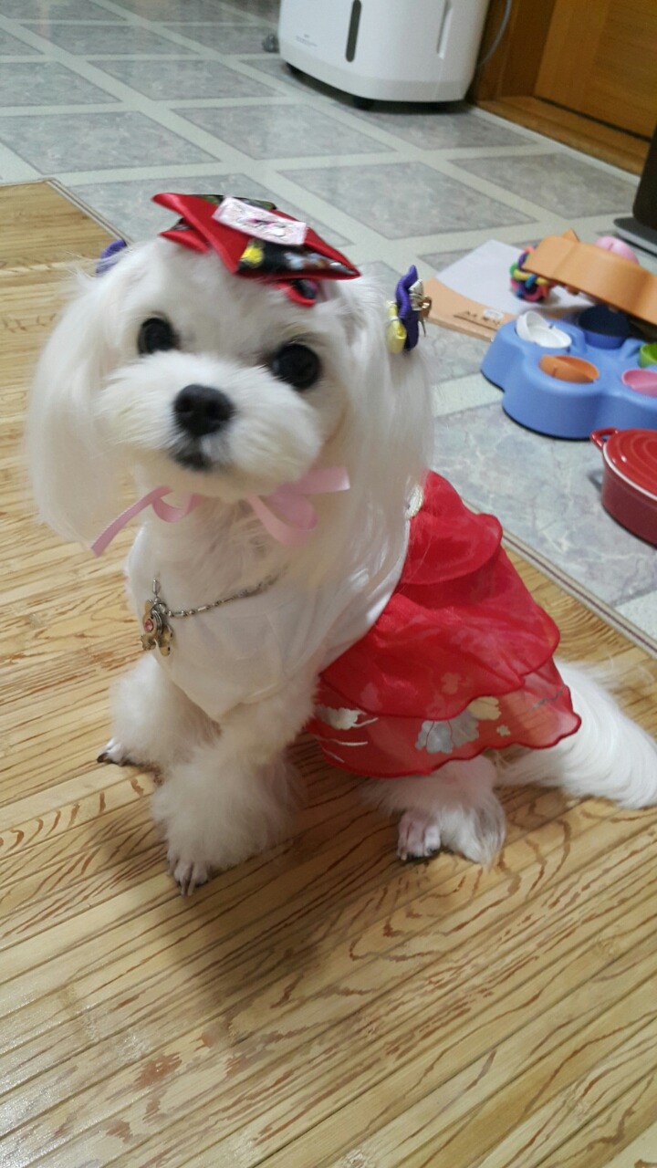 보리사랑 이미지