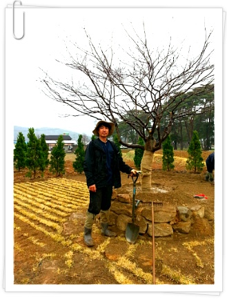 양사부 이미지