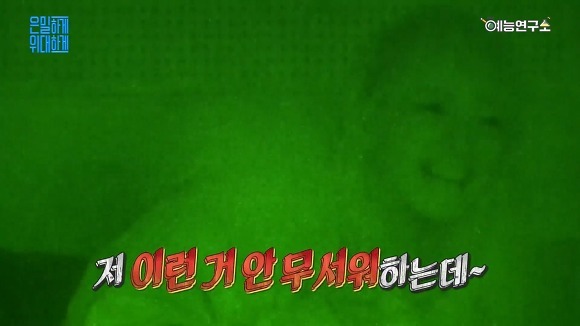 몰카 안통하는 김세정 | 인스티즈