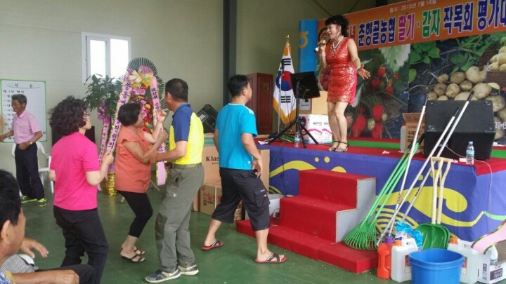 순정감자 이미지