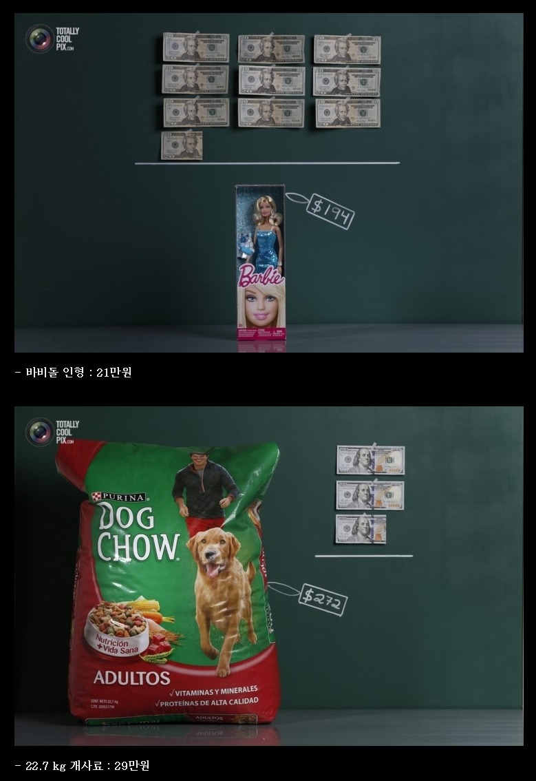 베네수엘라 현재 상황 | 인스티즈