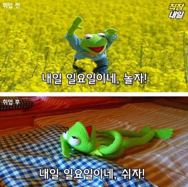직장인이 되기 전/후 | 인스티즈