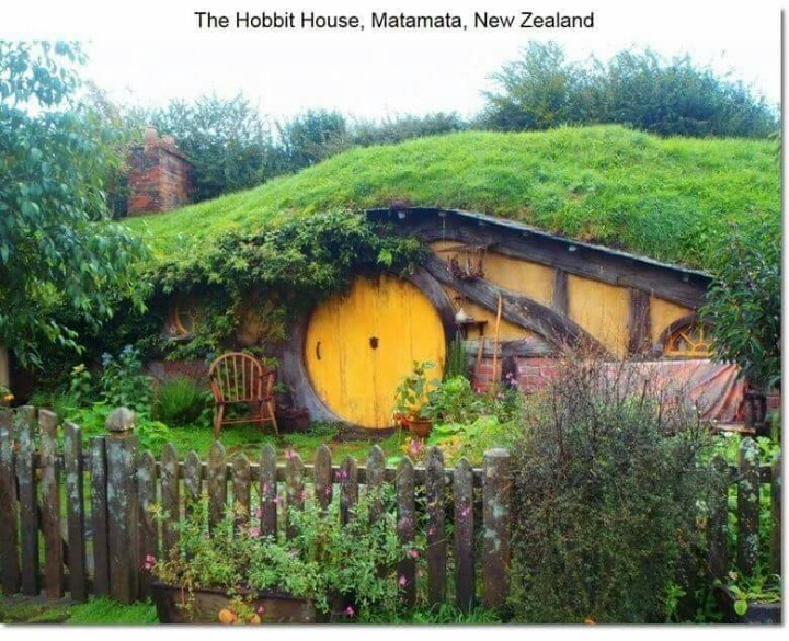 특이한 디자인의 집들 | 인스티즈