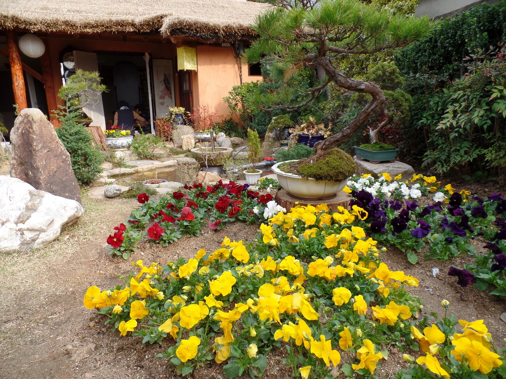 한옥마을의 화사한 봄꽃 감상 | 인스티즈