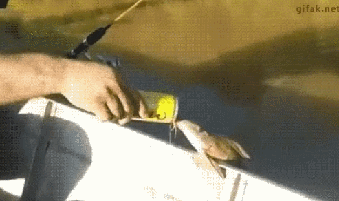 음료수 마시는 물고기 | 인스티즈