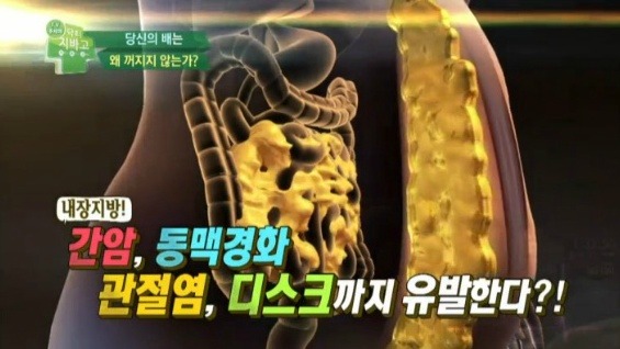 침묵의 암살자 뱃속의 시한폭탄 내장지방의 위험성 | 인스티즈