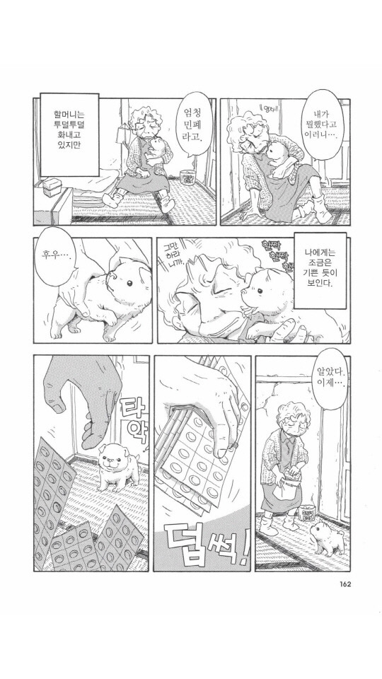 개를 주워오면 안되는 이유 | 인스티즈