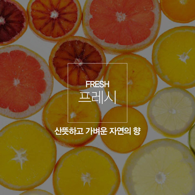 여자들이 선호하는 남자 향수 | 인스티즈