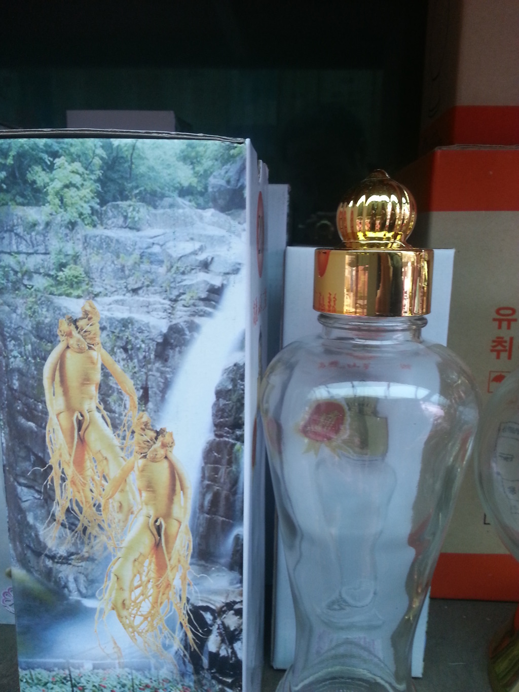 산양산삼 이미지