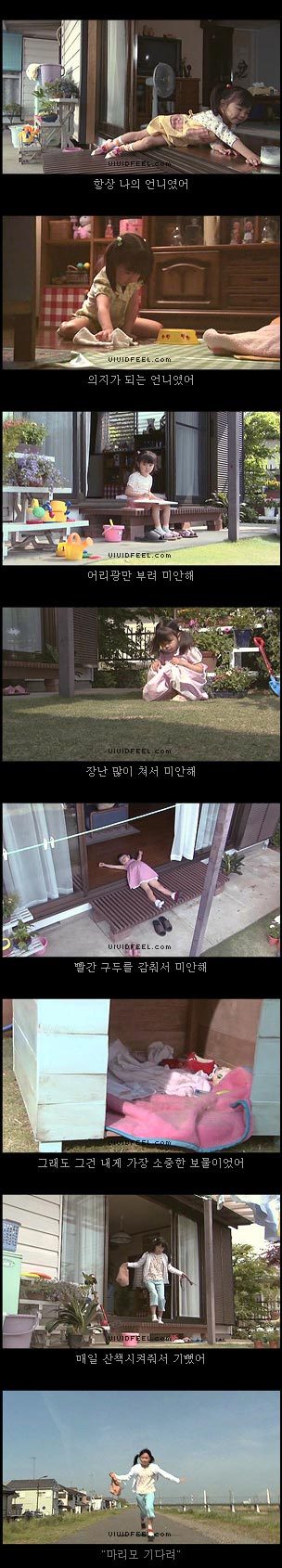 10번보면 10번 다 폭풍오열하는 이야기 [마리모이야기] | 인스티즈