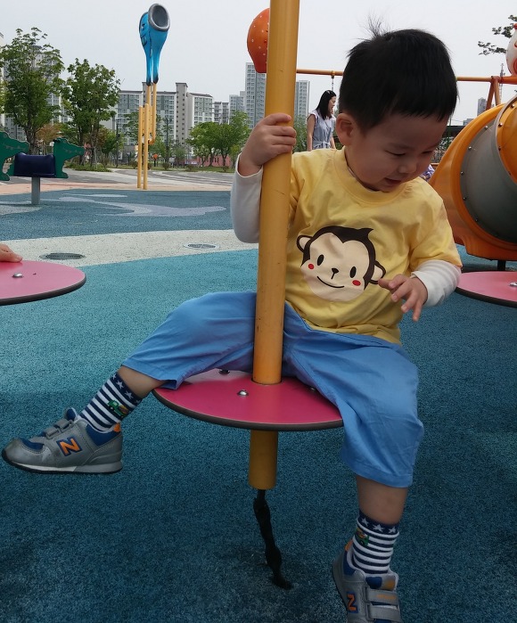 재원꽃게 이미지