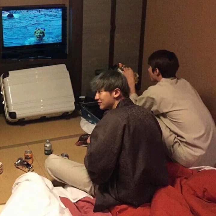 스고이 이미지