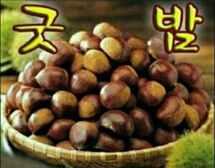 현산 이미지