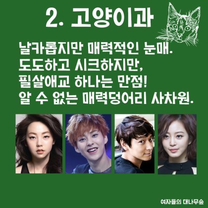 강아지상 vs 고양이상 | 인스티즈