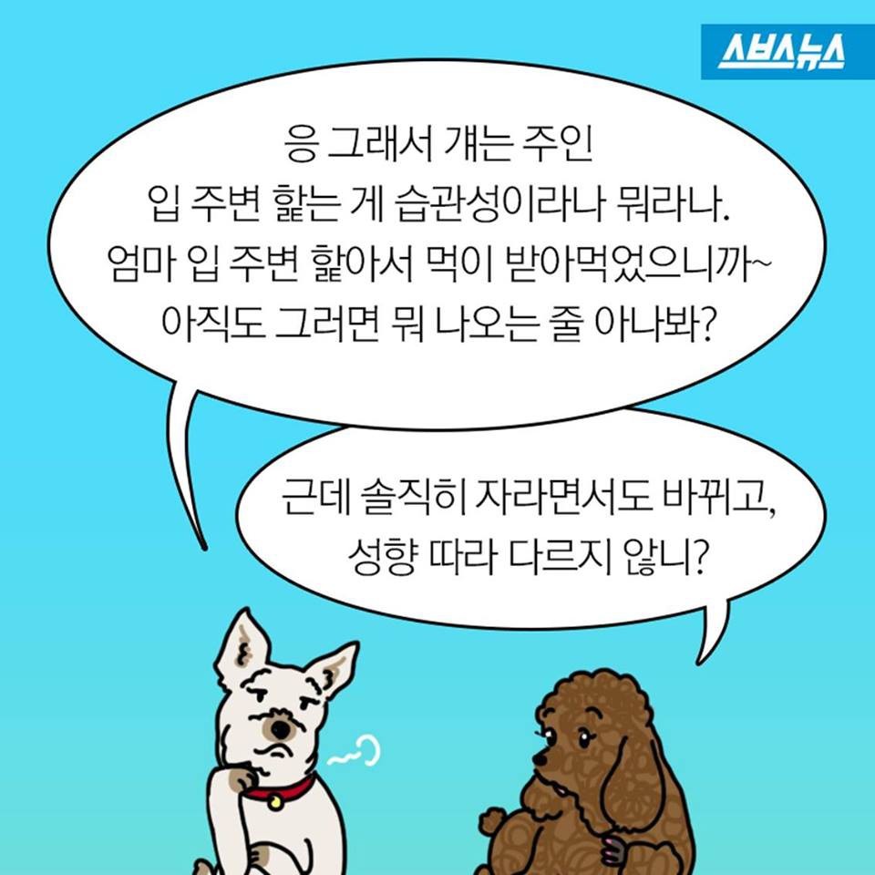 개들이 뽀뽀를 피하는 이유.jpg | 인스티즈