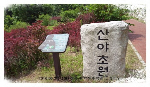 황학산수목원 이미지