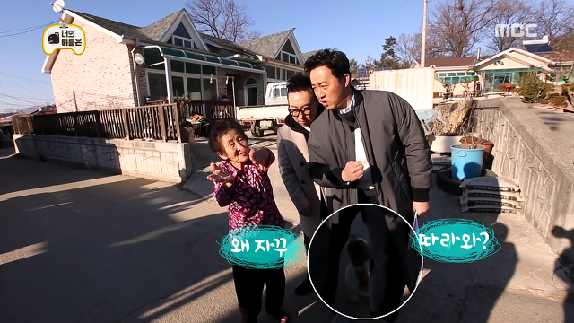 [무한도전] 방송하랴 댕댕이 부둥부둥하랴 바쁘신 할아버지ㅋㅋ.jpg | 인스티즈