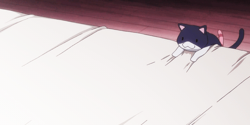 2D 고양이 | 인스티즈