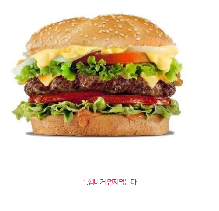 당신의 햄버거 먹는 유형은? | 인스티즈