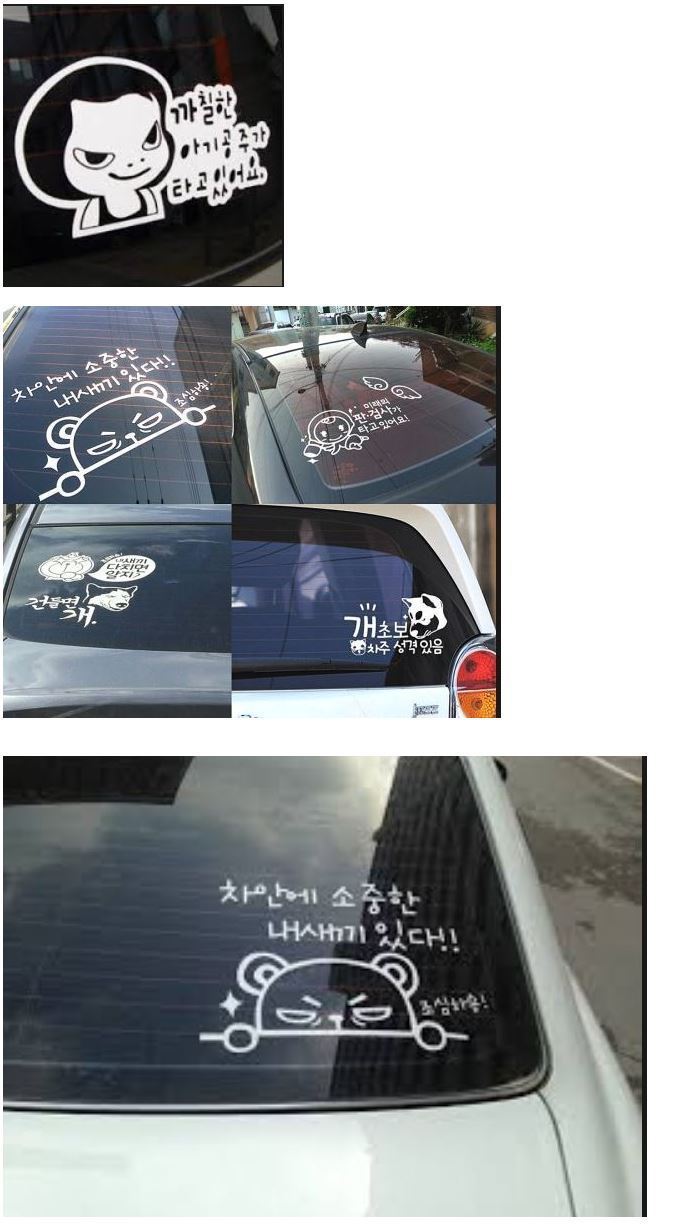 까칠한 아이가 타고있어요.jpg | 인스티즈