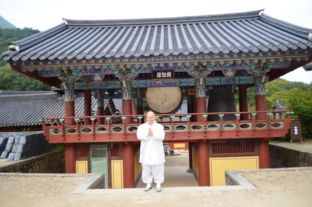 사십이 이미지