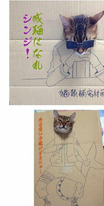 그림 좀 그리는 주인님의 솜씨 | 인스티즈