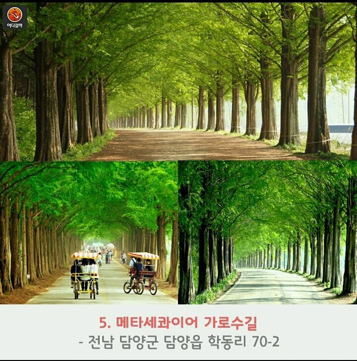 담양여행 이미지