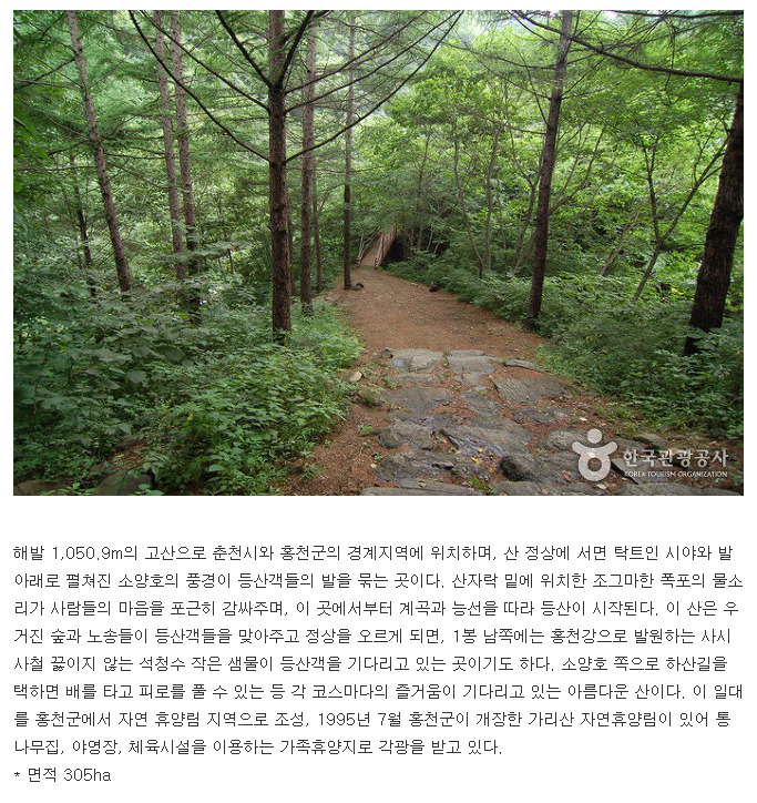 대진여행사 이미지