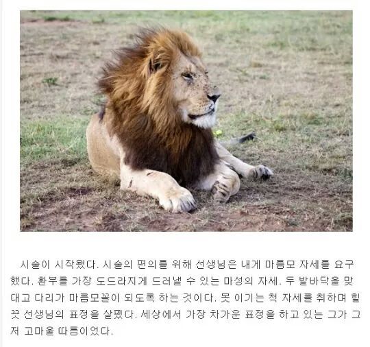 브라질리언 왁싱을 직접 체험해 본 기자 | 인스티즈
