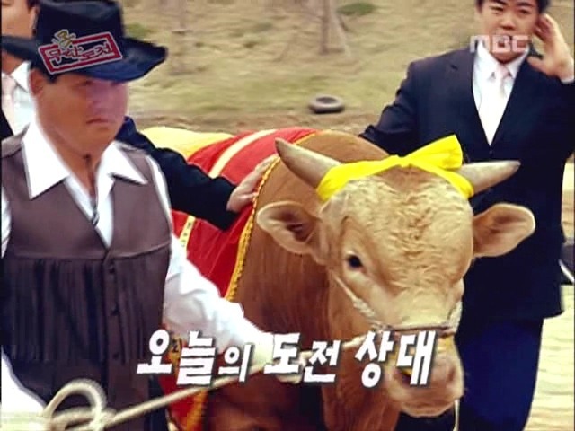 무한도전이 이렇게까지 커지리라고는 상상도못했던 그시절 | 인스티즈
