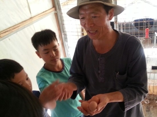 농장닭집 이미지
