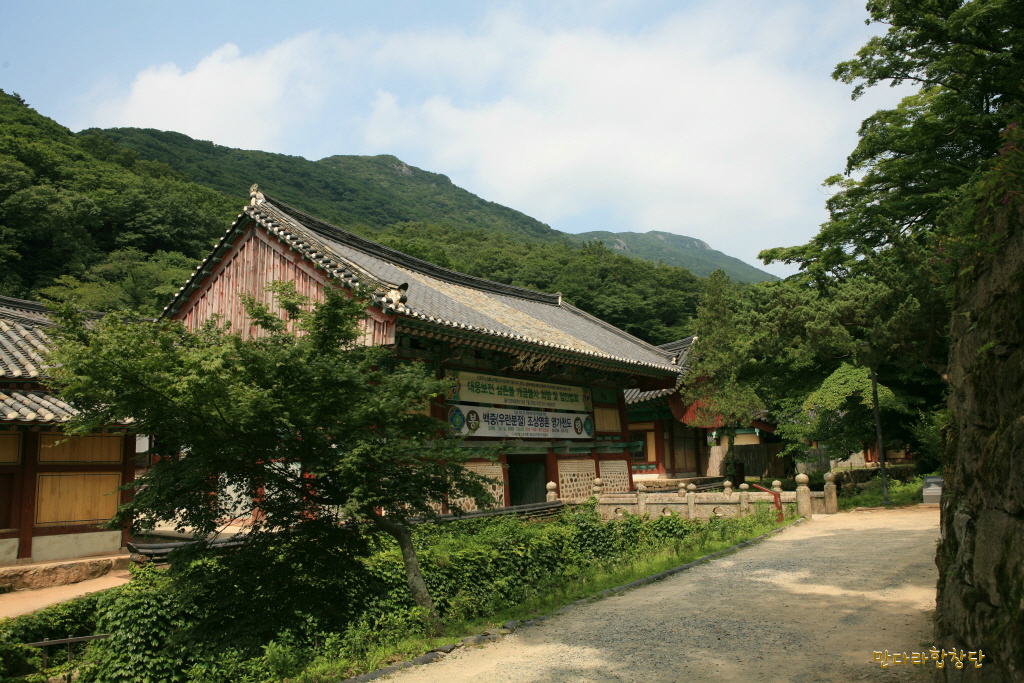 대흥사 이미지
