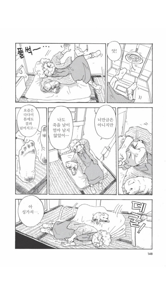 개를 주워오면 안되는 이유 | 인스티즈