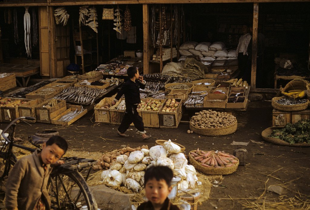 1952 한국 | 인스티즈