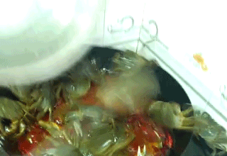 현재 일베 상황.gif | 인스티즈