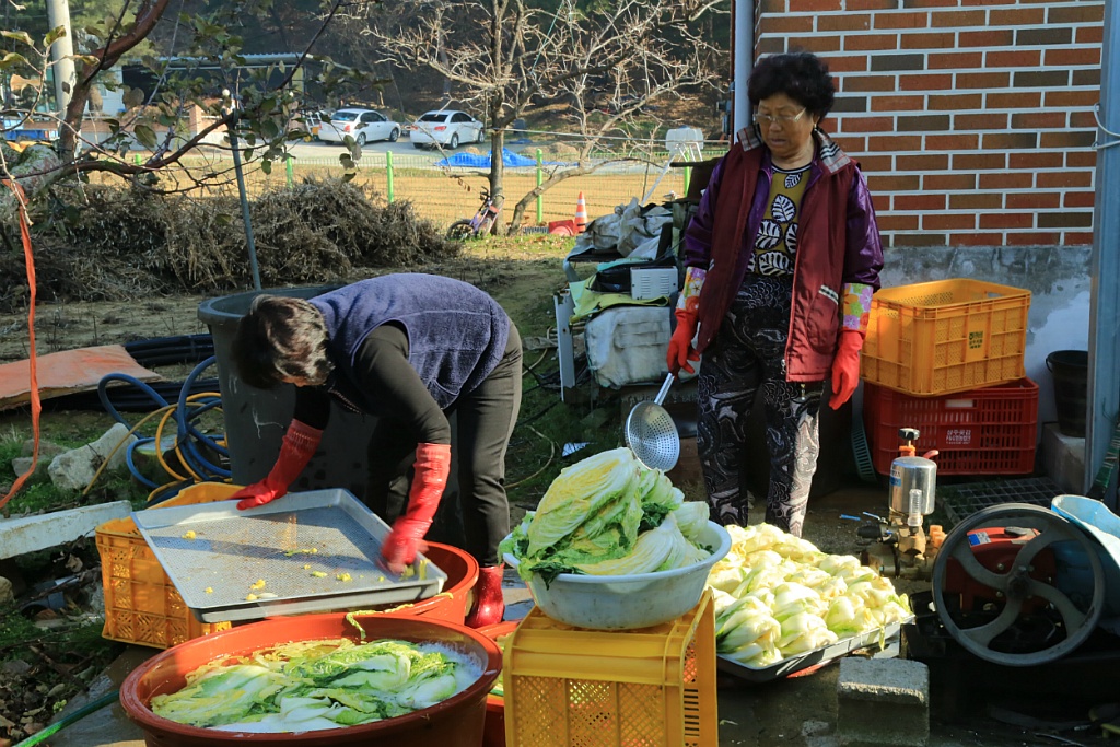 그리고과수원 이미지
