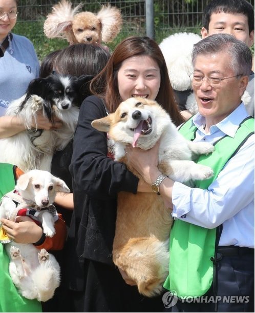 귀여운 것들을 바라보는 귀여운 것들 | 인스티즈
