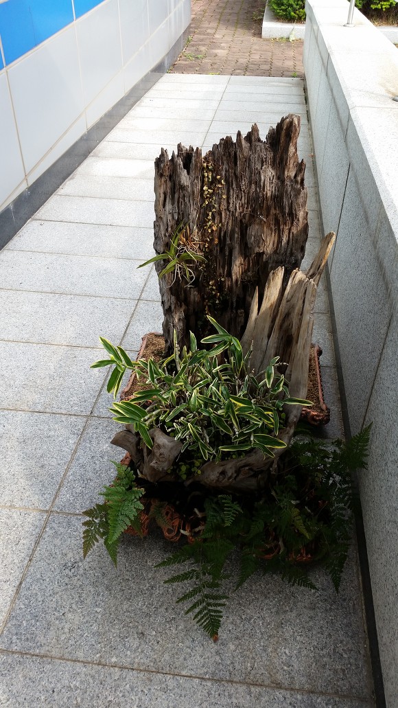 서광기업 이미지