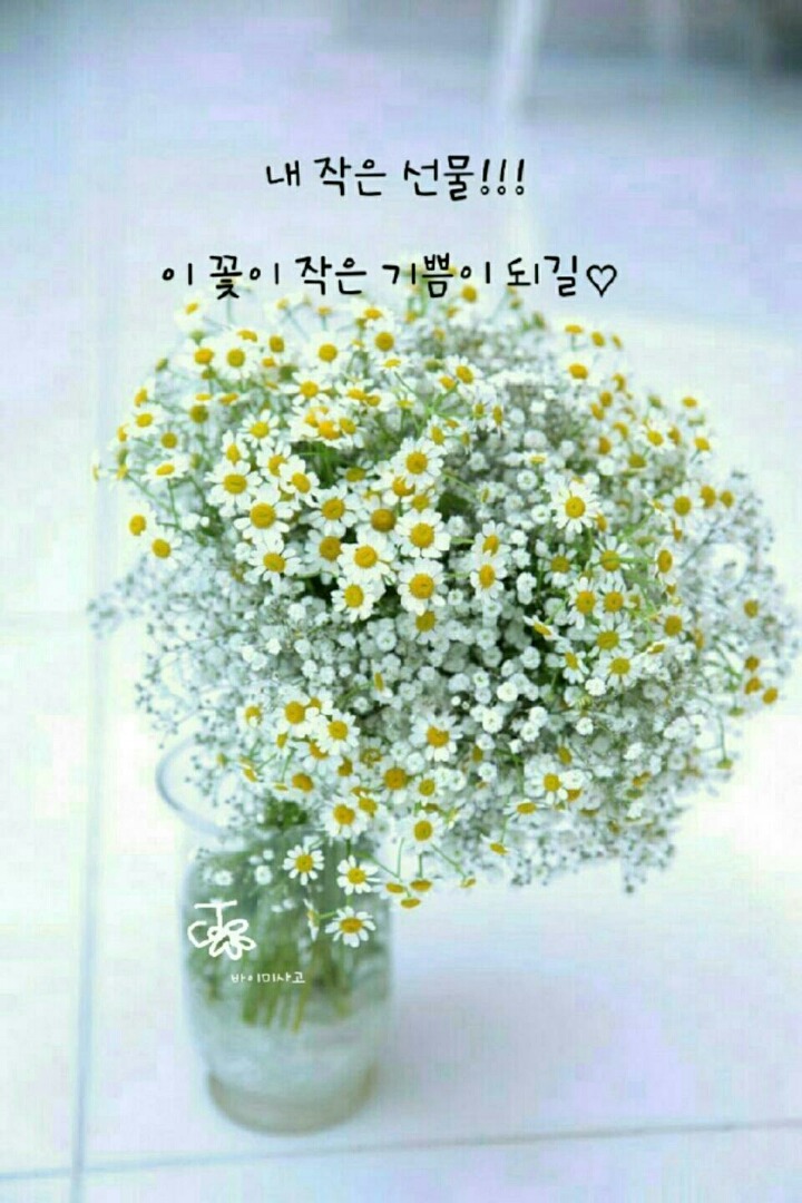 천장어 이미지