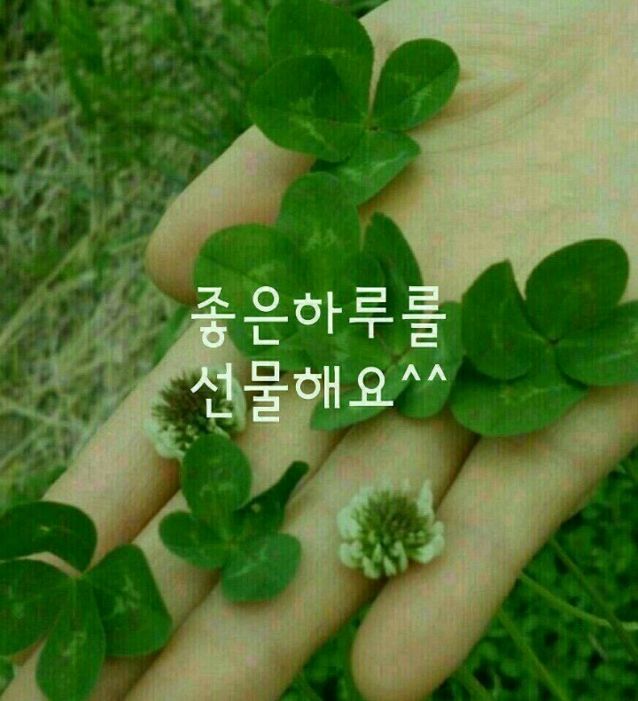 오늘도;봄 이미지