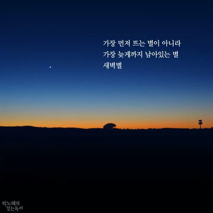 새벽별 이미지