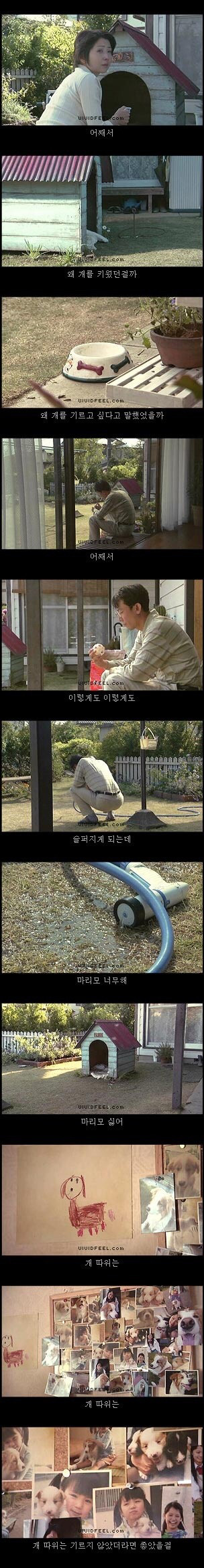 [눈물주의슬픔주의] 강아지의 일생 | 인스티즈