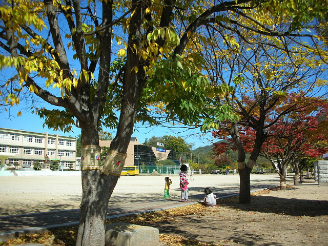 영양초등학교 이미지